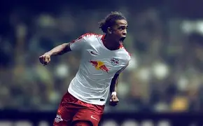 波茨坦公告第八条